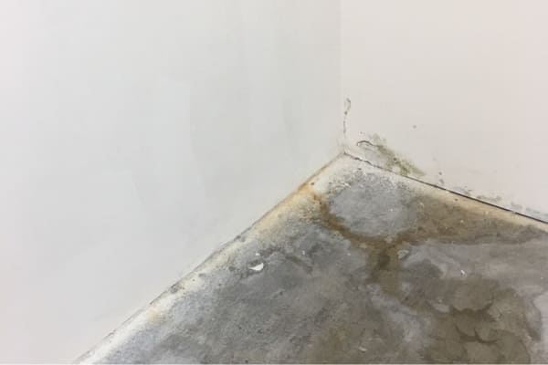 防水抓漏